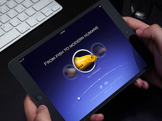 From fish to modern humans—从鱼到人的进化