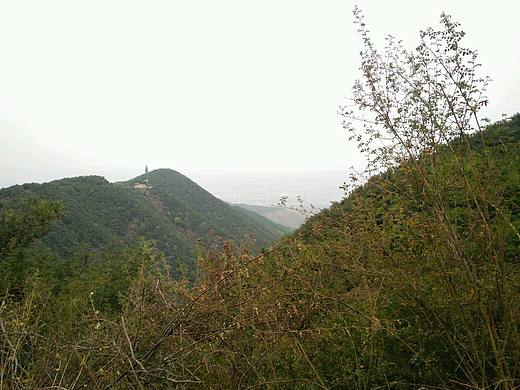 风景