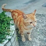 修图师张量的头像