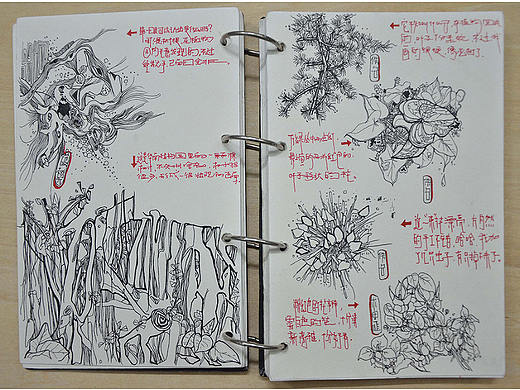手绘作品- 植物系列