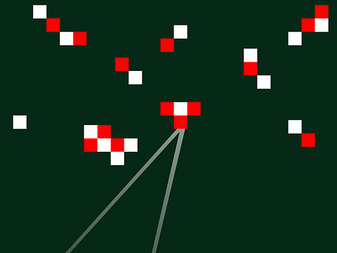 我们因不同而团结