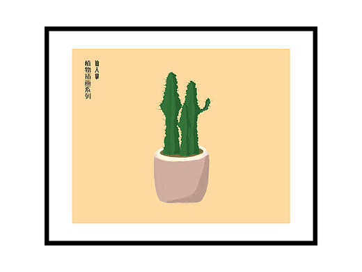 仙人掌 植物插画