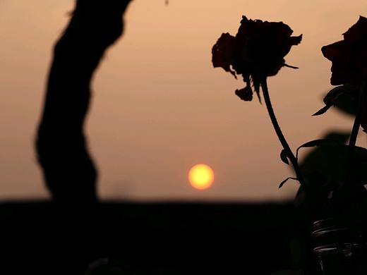 日落时的菜园（个人主页-ZNDU4OTA0NjQ=） - 其他影视 - 站酷设计师花花一样原创素材 - 站酷ZCOOL