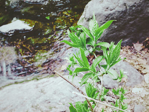混乱派,胡乱拍。