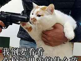 谢谢大家！