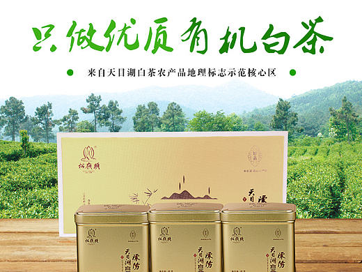 中国茶——2015新茶春茶天目湖白茶