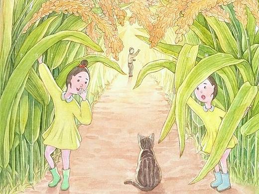 水稻🌾