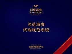 深蓝海参 店面规范 画册（个人主页-ZNTY0NzQw） - 其他平面 - 站酷设计师icanfay原创素材 - 站酷ZCOOL