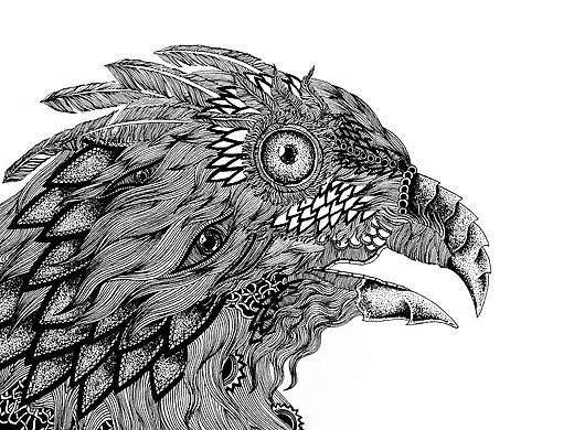 动物插画（补）