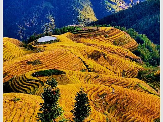 龙胜梯田