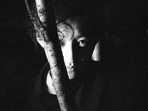 晚樱