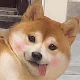 周小晓的头像