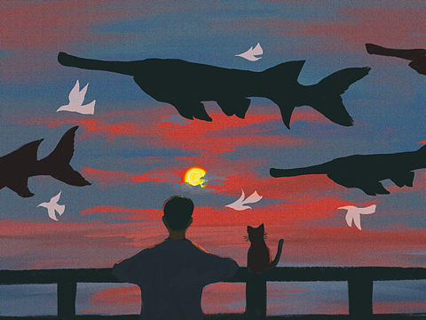 “继续陪伴你”2