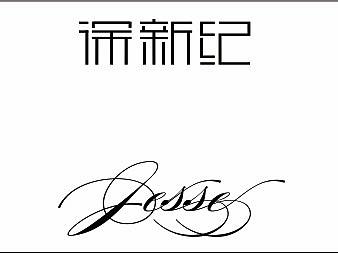 原创字体设计（个人主页-ZMjA3OTM1MjA=） - 字体/字形 - 站酷设计师一只皮皮兽原创素材 - 站酷ZCOOL