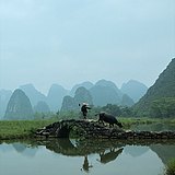 Z37564788的头像
