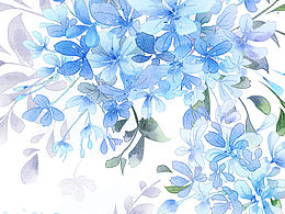 蓝雪花