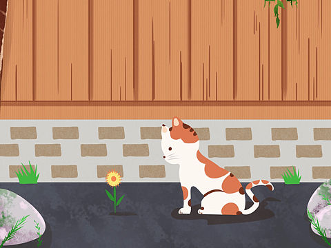 遇见一只猫
