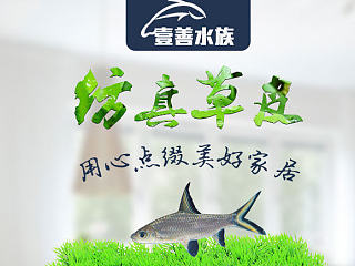 【精品描述】淘宝水族箱造景植物之高仿真水草详情页设计