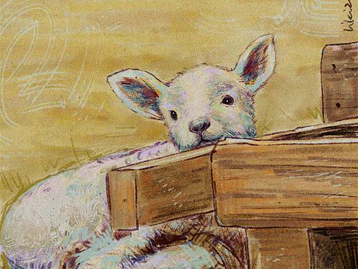 关于小羊（个人主页-ZNTQyMzk4OTY=） - 创作习作 - 站酷设计师奇妙能力球原创素材 - 站酷ZCOOL