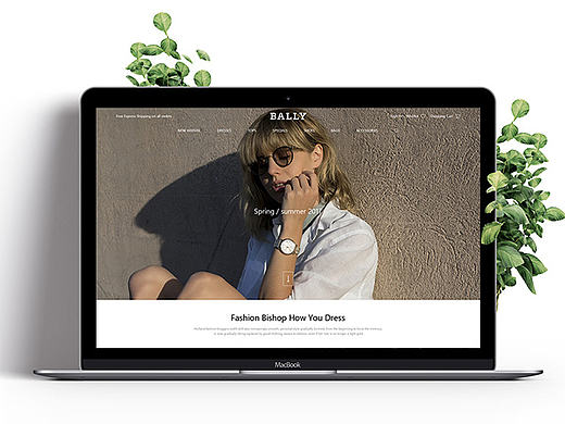BALLY  WEB DESIGN