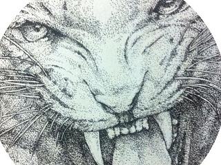 十二生肖-画虎画皮难画骨