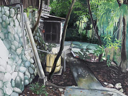 風(fēng)景練習(xí)