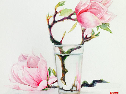 水彩花卉 原创作品 玻璃瓶里的玉兰花