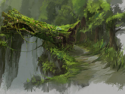 树洞概念