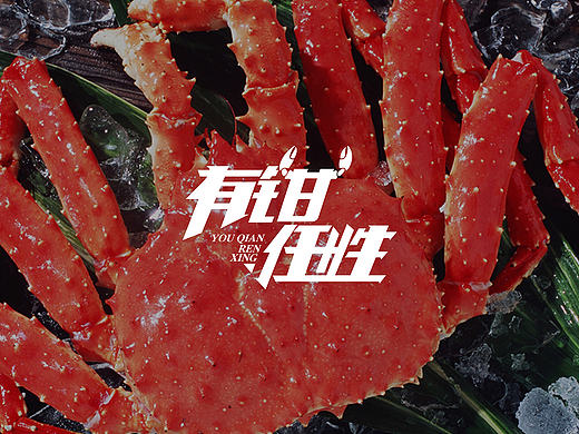 [ 有钳任性 ] 品牌设计_有钳 · 才可任性