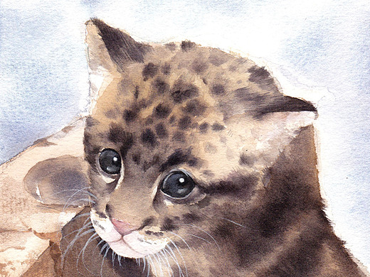 简熹手绘 | 水彩小云豹