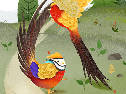 《山海经的动物们》毕设儿童绘本