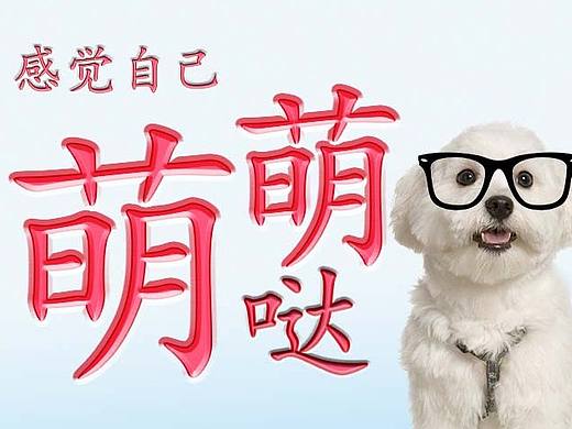“爱宠”海报