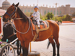 一张图告诉你什么叫#马背上的民族#