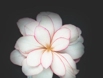 爱购 APP 界面（个人主页-ZMjEzMDA4NjQ=） - APP界面 - 站酷设计师芊芊颠颠原创素材 - 站酷ZCOOL