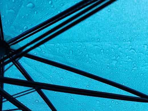 照猫画虎拍了一张