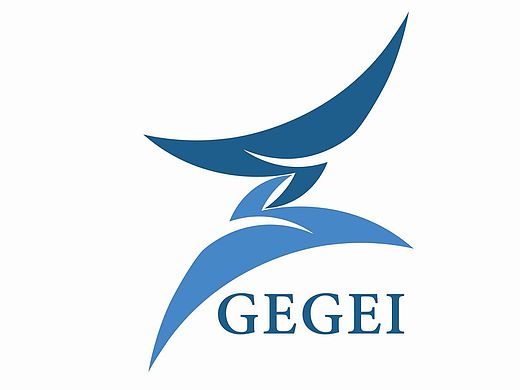 GEGEI视觉识别系统