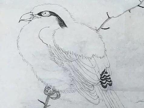 工笔画（个人主页-ZMjE0MDQ1MzI=） - 绘画 - 站酷设计师looovelyday原创素材 - 站酷ZCOOL