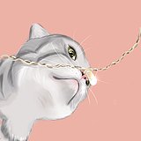小耗子555的头像