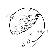 文洋dubhe的头像