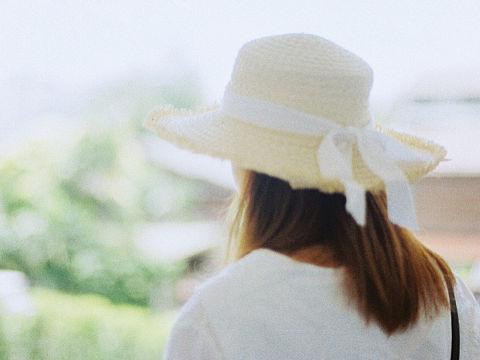泰国清迈|绿树阴浓夏日长