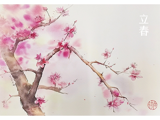 立春-桃花-水彩