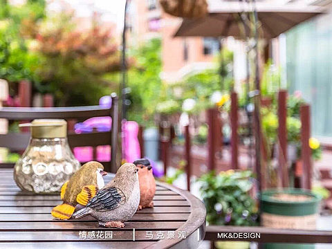 充满了生活气息的花园设计小院子