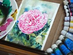 水彩花卉