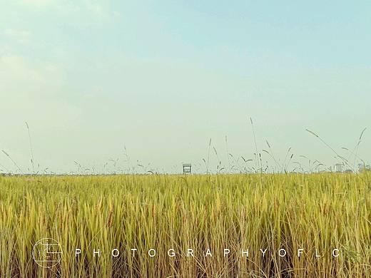 秋天都过完了，我却只是这些图片了（个人主页-ZNDA3MjcwMDg=） - 风光摄影 - 站酷设计师烂潮原创素材 - 站酷ZCOOL