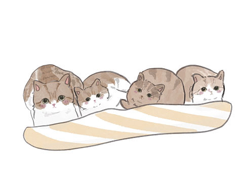 咪