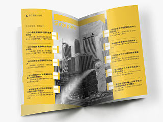 Singapore University Brochure Design