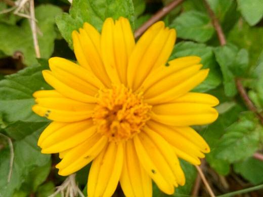 小黄花（个人主页-ZMjI3OTYwNDg=） - 风光摄影 - 站酷设计师优悠在线原创素材 - 站酷ZCOOL