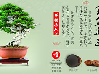 幾個(gè)紫砂花盆的海報(bào)（個(gè)人主頁-ZNzM0ODkwNA==） - 電商 - 站酷設(shè)計(jì)師Brook_x腿團(tuán)原創(chuàng)素材 - 站酷ZCOOL