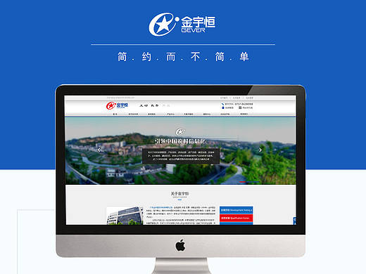 【成功案例】政府软件公司官网 GUI 设计简约大气 品牌感官方政府感 网站官网网页设计