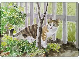猫孩子
